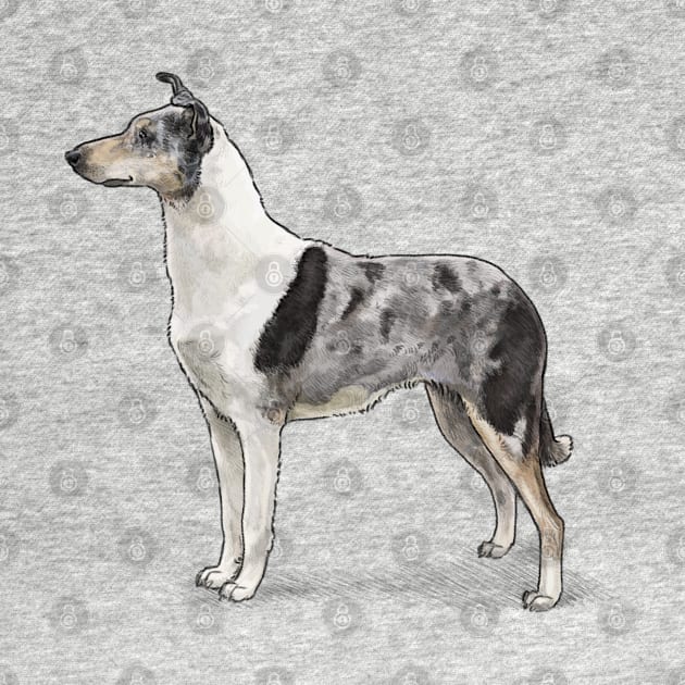 The Blue Merle Smooth Collie by Elspeth Rose Design